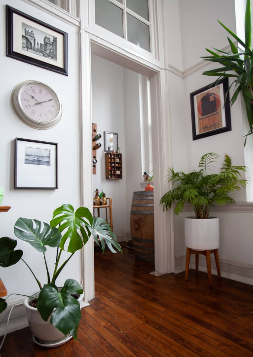 Image showcasing Loft Decor Inspiration and Ideas Home Tour Photos | Apartment Therapy